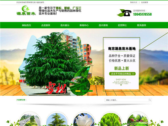 南京源泉雪松苗木基地